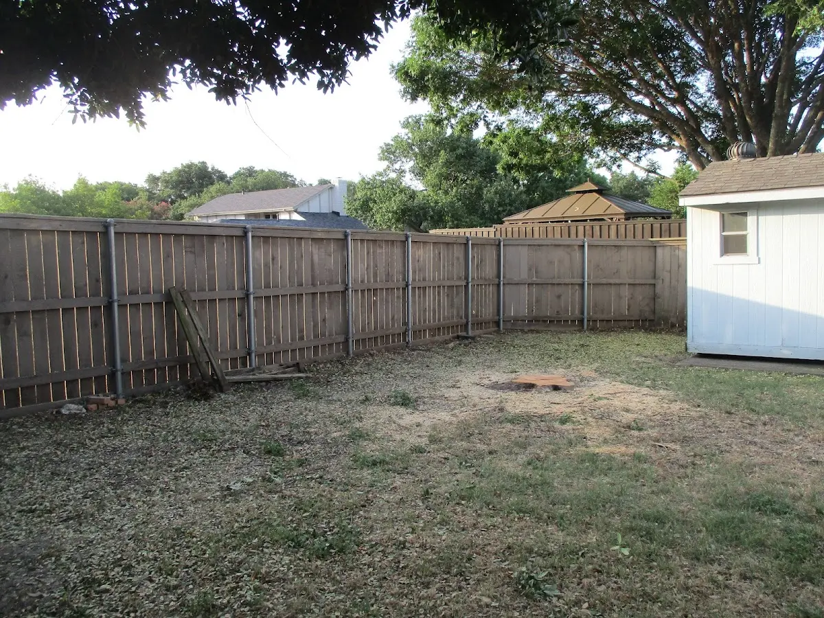 Cleared yard after professional tree removal in North Aurora